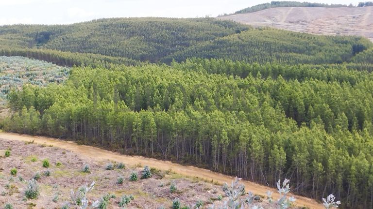 Proporção de 1/3 de Terreno · São Vicente da Beira, Castelo Branco