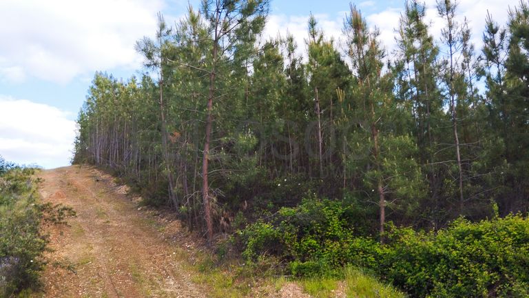 Proporção de 1/3 de Terreno · São Vicente da Beira, Castelo Branco