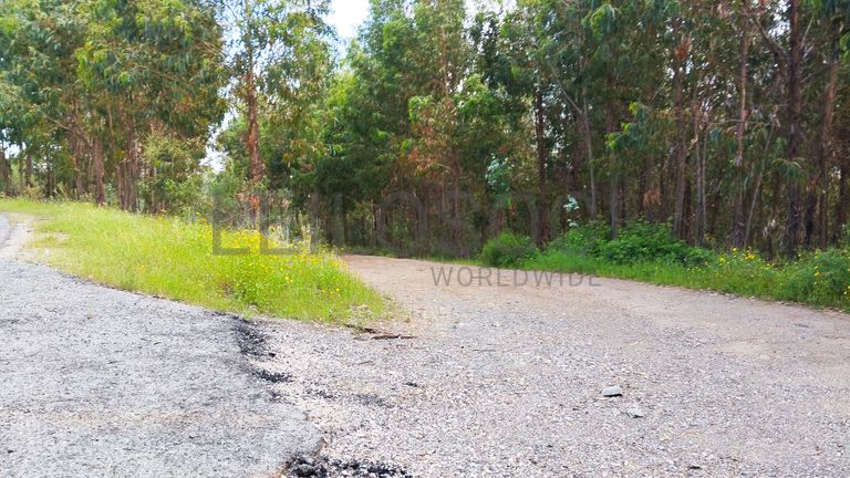 Proporção de 1/3 de Terreno · São Vicente da Beira, Castelo Branco