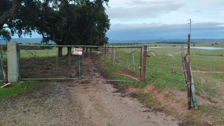 Terrenos com +35 hectares · Ladoeiro, Idanha-a-Nova