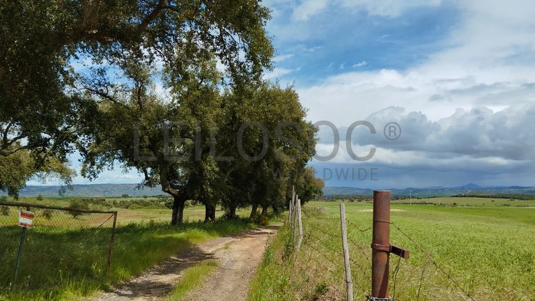 Terrenos com +35 hectares · Ladoeiro, Idanha-a-Nova
