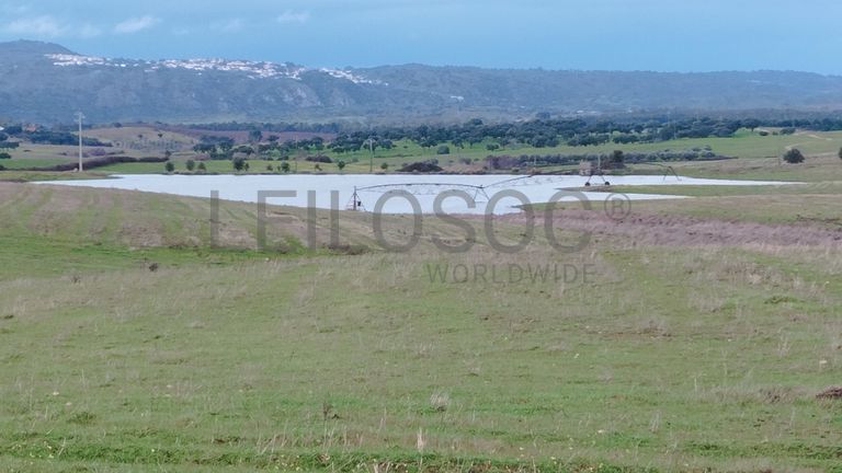 Terrenos com +35 hectares · Ladoeiro, Idanha-a-Nova
