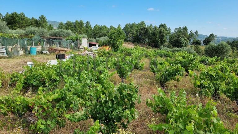 1/3 de Terreno · Oura, Chaves