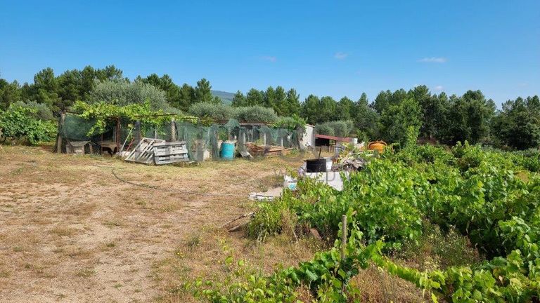 1/3 de Terreno · Oura, Chaves