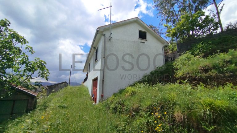 Quinhão Hereditário · Cabril, Castro Daire