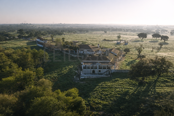 Fotografia de imóvel: Herdade com + 47 hectares · Palmela
