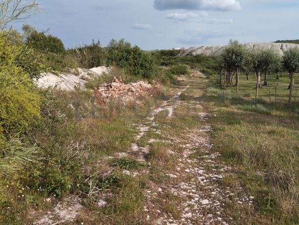 Fotografia de imóvel: Terrenos Rústicos · Vila Viçosa, Évora