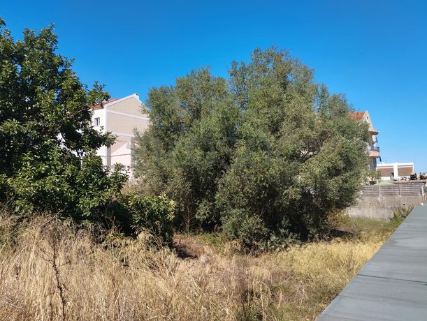 Terreno para Construção · Mina de Água, Amadora