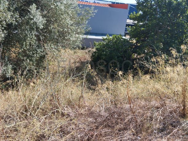 Terreno para Construção · Mina de Água, Amadora