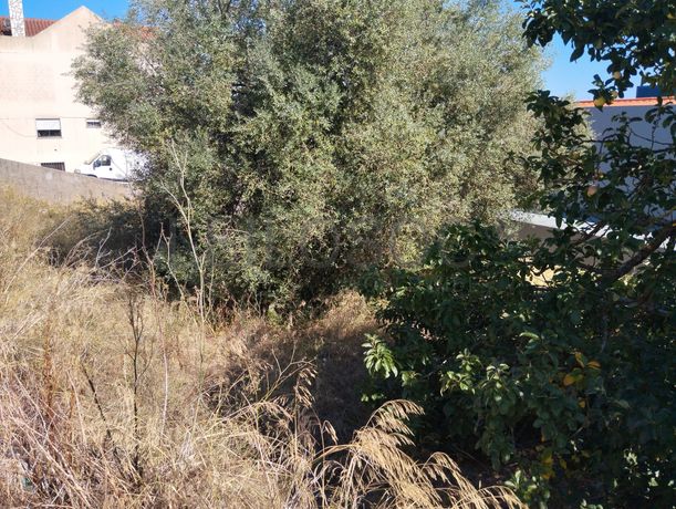 Terreno para Construção · Mina de Água, Amadora