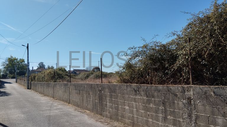 Terreno para Construção · São João de Areias, Santa Comba Dão