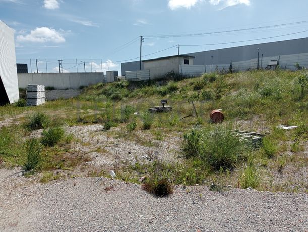 Fotografia 8 de 24: Unidade Industrial com Benfeitorias · Cacia, Aveiro