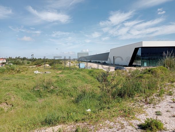 Fotografia 4 de 24: Unidade Industrial com Benfeitorias · Cacia, Aveiro