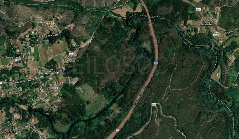 Terreno Rústico · Vilar de Mouros, Caminha
