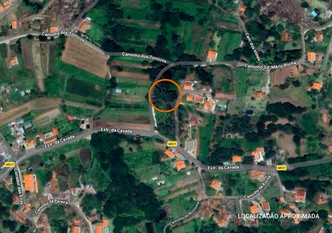 Terrenos Rústicos · Vilar de Mouros, Caminha