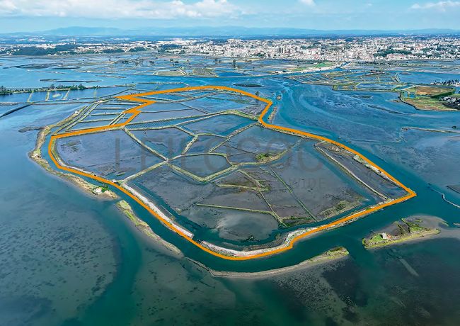 Ilha dos Puxadoiros · Ria de Aveiro