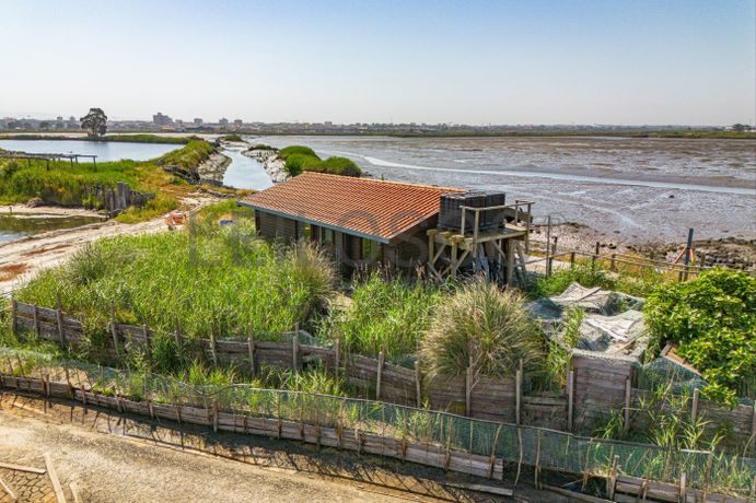 Ilha dos Puxadoiros · Ria de Aveiro