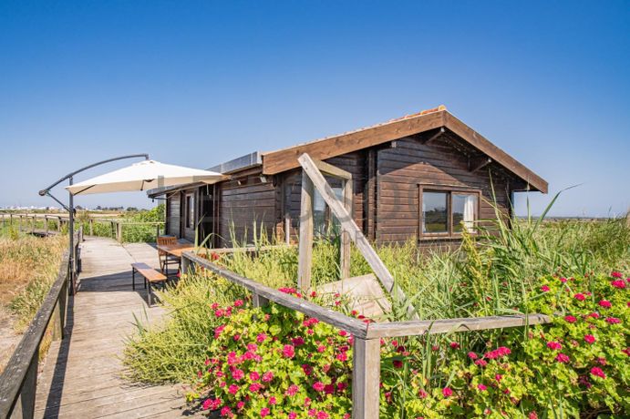 Ilha dos Puxadoiros · Ria de Aveiro