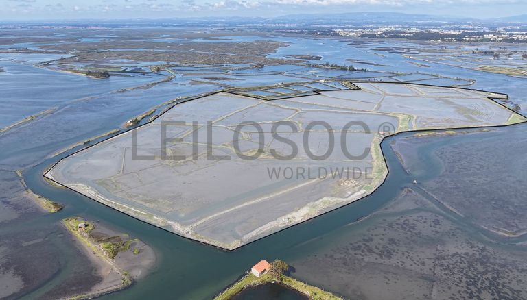 Ilha dos Puxadoiros · Ria de Aveiro