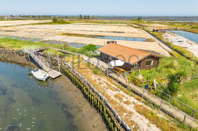 Ilha dos Puxadoiros · Ria de Aveiro