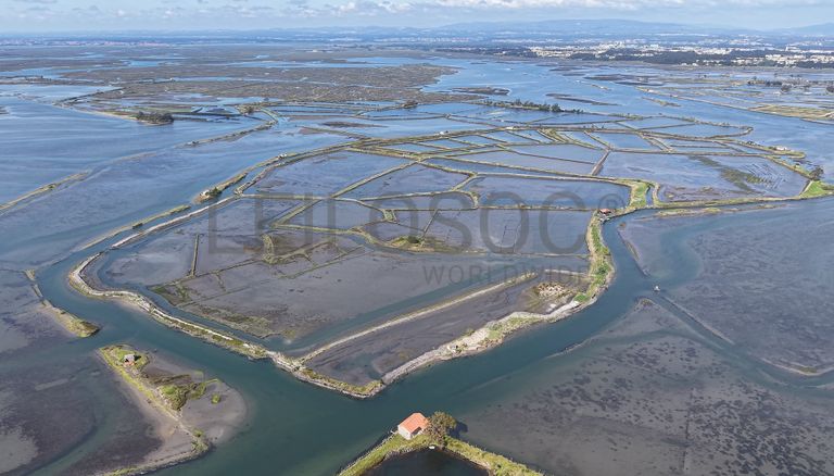 Ilha dos Puxadoiros · Ria de Aveiro