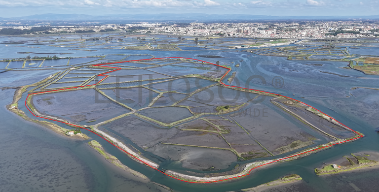 Ilha dos Puxadoiros · Ria de Aveiro