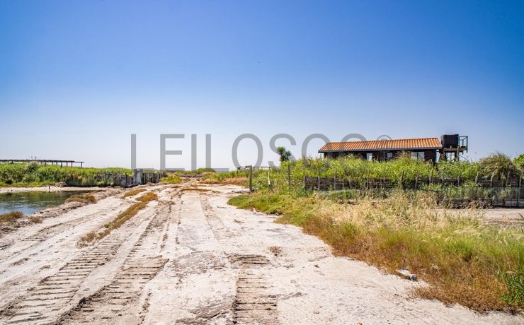 Ilha dos Puxadoiros · Ria de Aveiro