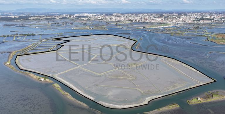 Ilha dos Puxadoiros · Ria de Aveiro