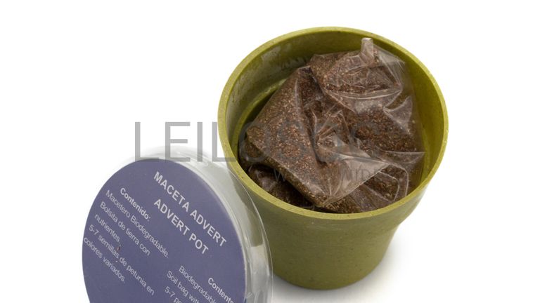 Vaso com sementes