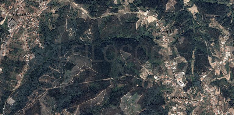 Fotografia de direito: Quinhão Hereditário · Santo António dos Olivais, Coimbra