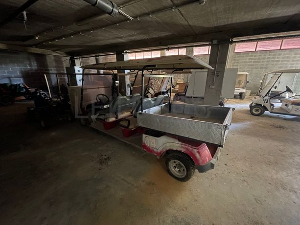Carrinho de Golf Elétrico