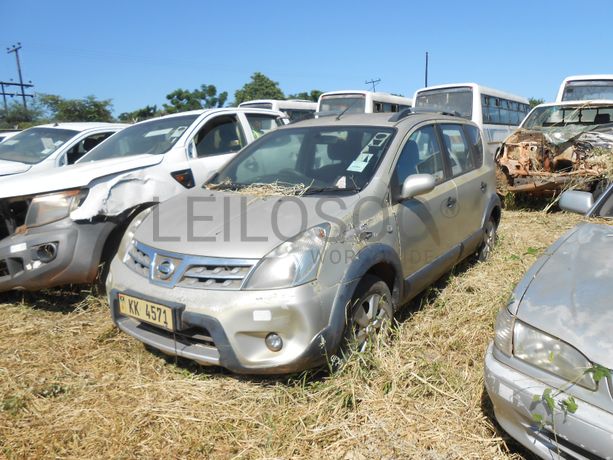 Light Vehicle - 2009
