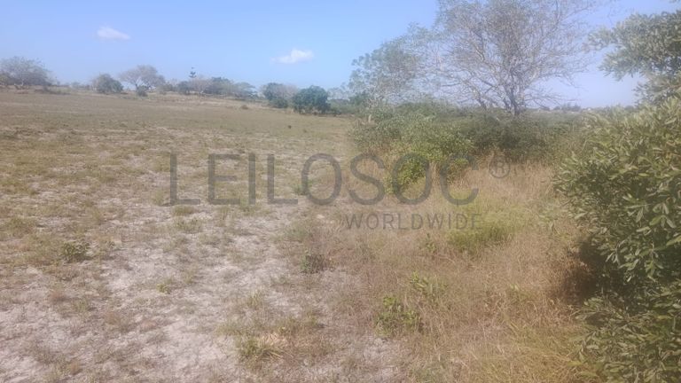 Infraestruturas em terreno com Vivenda T1 – Bairro Pateque