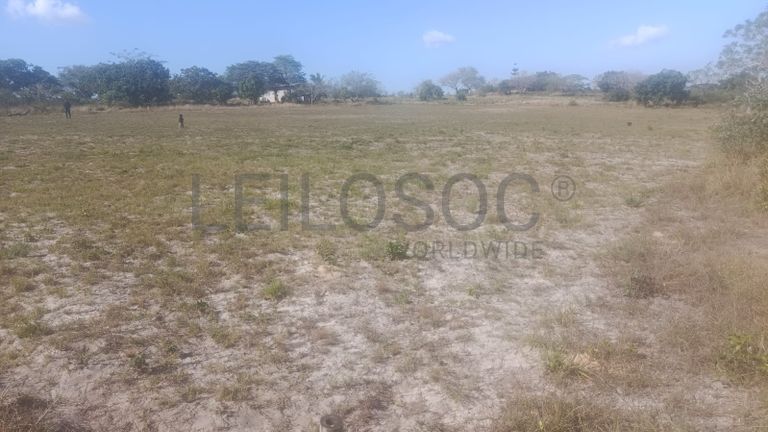 Infraestruturas em terreno com Vivenda T1 – Bairro Pateque