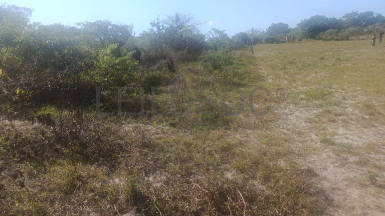 Infraestruturas em terreno com Vivenda T1 – Bairro Pateque