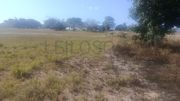 Infraestruturas em terreno com Vivenda T1 – Bairro Pateque