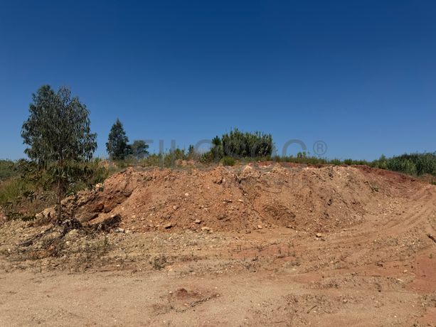 Terra de jardim para crivar