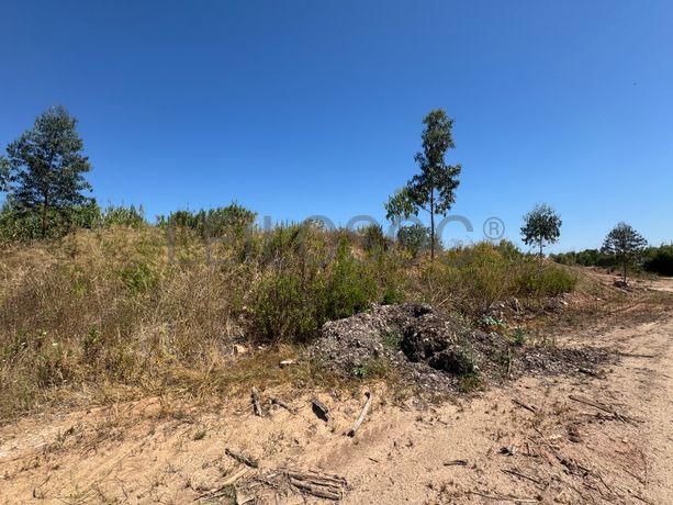 Terra de jardim para crivar