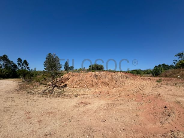 Terra de jardim para crivar