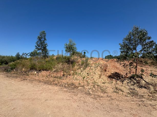 Terra de jardim para crivar