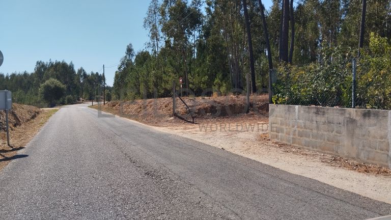 Proporção de 1/2 de Terreno · Abrantes