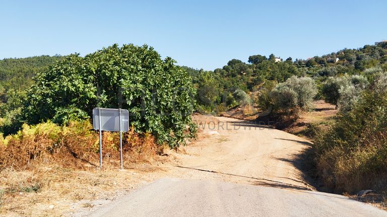Proporção de 1/4 de Terreno · Abrantes