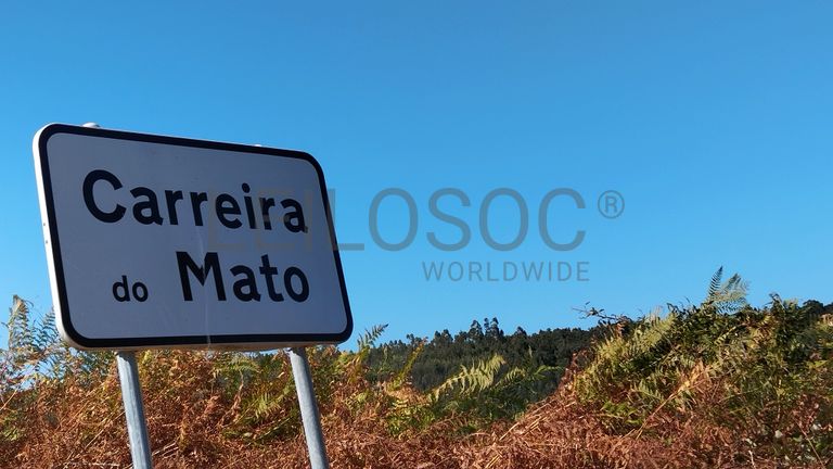 Proporção de 1/4 de Terreno · Abrantes