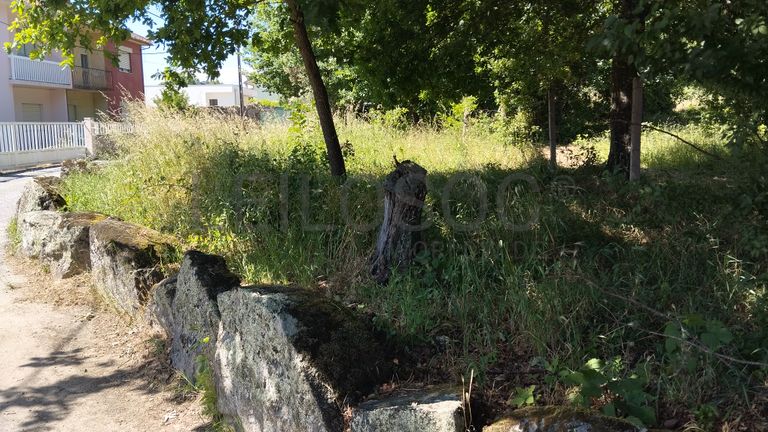 Proporção de 1/2 de Terreno · Viseu