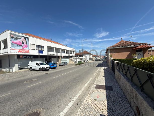 Proporção de 1/2 de Loja · Tondela