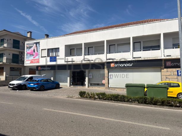 Proporção de 1/2 de Loja · Tondela