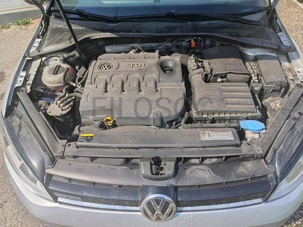 Volkswagen Golf V 1.6 TDI · Ano 2014