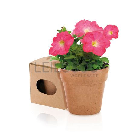 Vaso com sementes