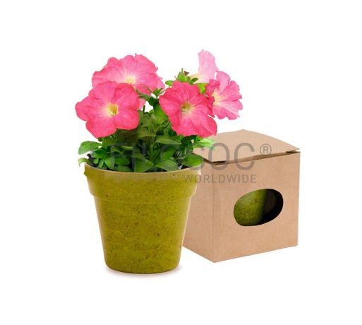 Vaso com sementes