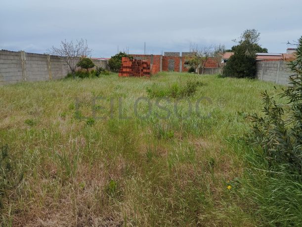 Terreno para Construção · Alpiarça, Santarém